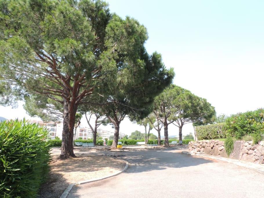 Ginkgo Studio - Piscine, Proche De La Mer, Golf, Wifi Mandelieu Eksteriør bilde